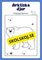 Arktiska djur - Målarbok