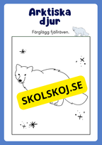 Arktiska djur - Målarbok
