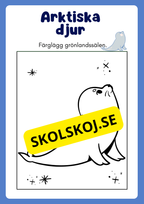 Arktiska djur - Målarbok