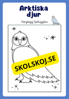 Arktiska djur - Målarbok