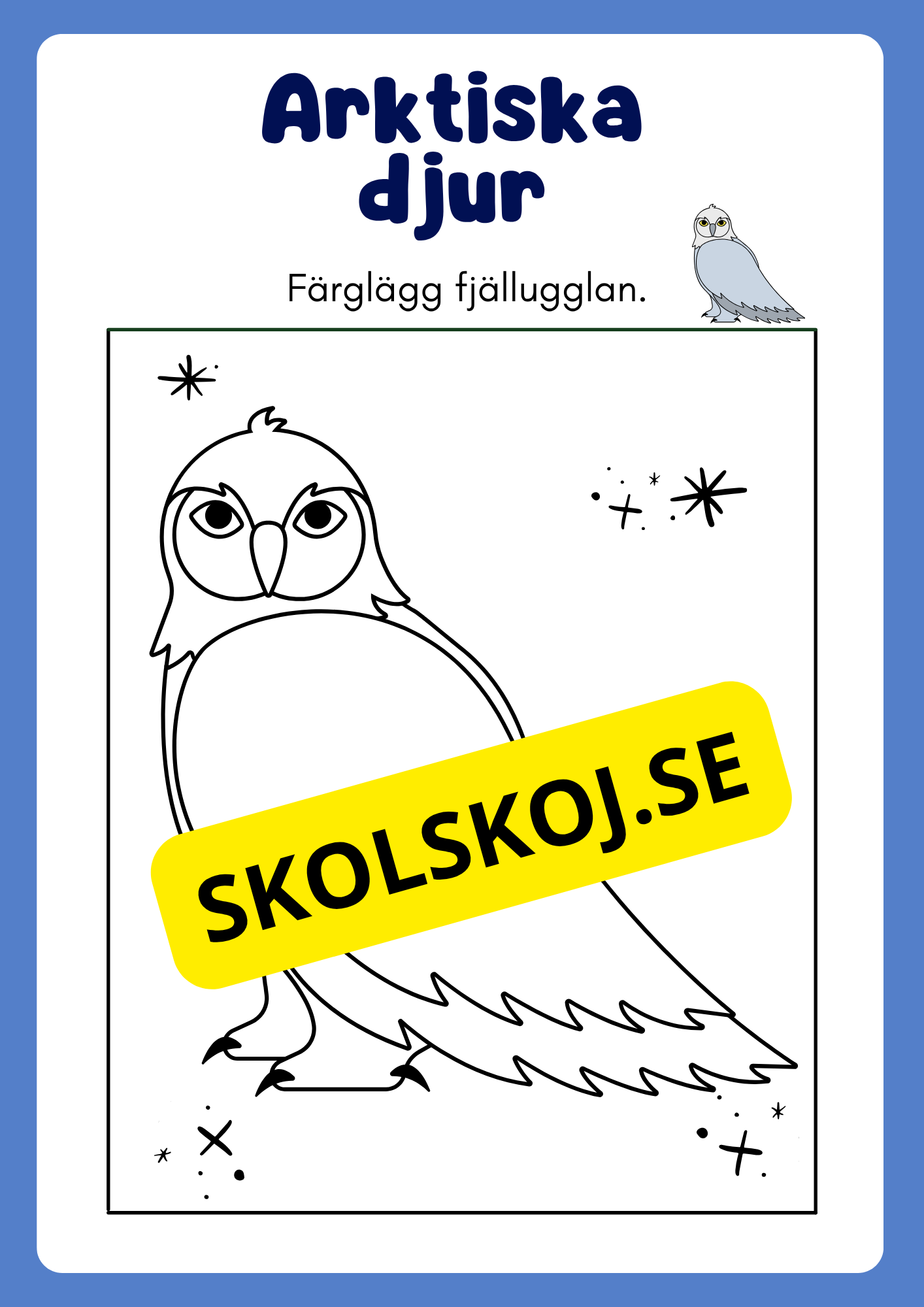 Arktiska djur - Målarbok