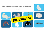 Arktiska regionen - Fakta och frågor - Årskurs 3 - 6