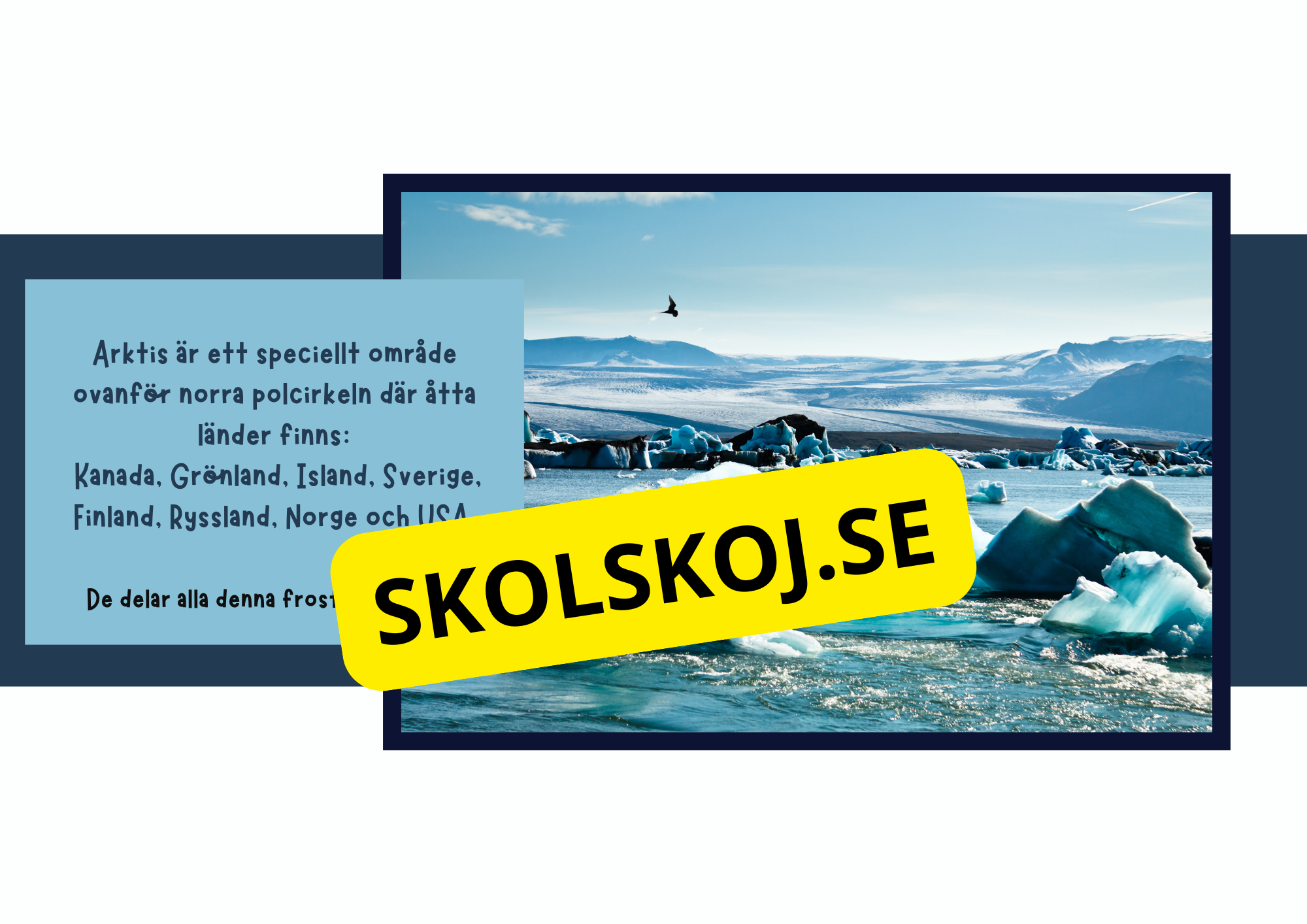 Arktiska regionen - Fakta och frågor - Årskurs 3 - 6