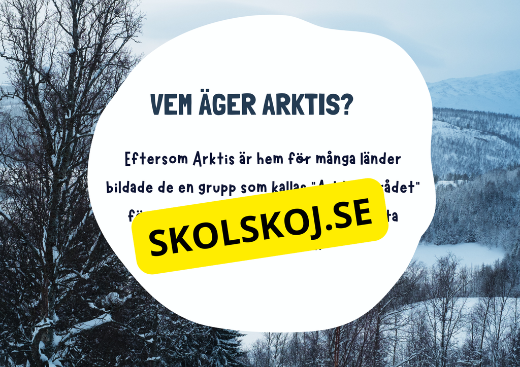 Arktiska regionen - Fakta och frågor - Årskurs 3 - 6