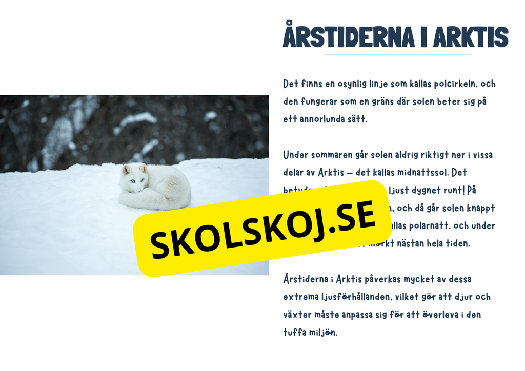 Arktiska regionen - Fakta och frågor - Årskurs 3 - 6