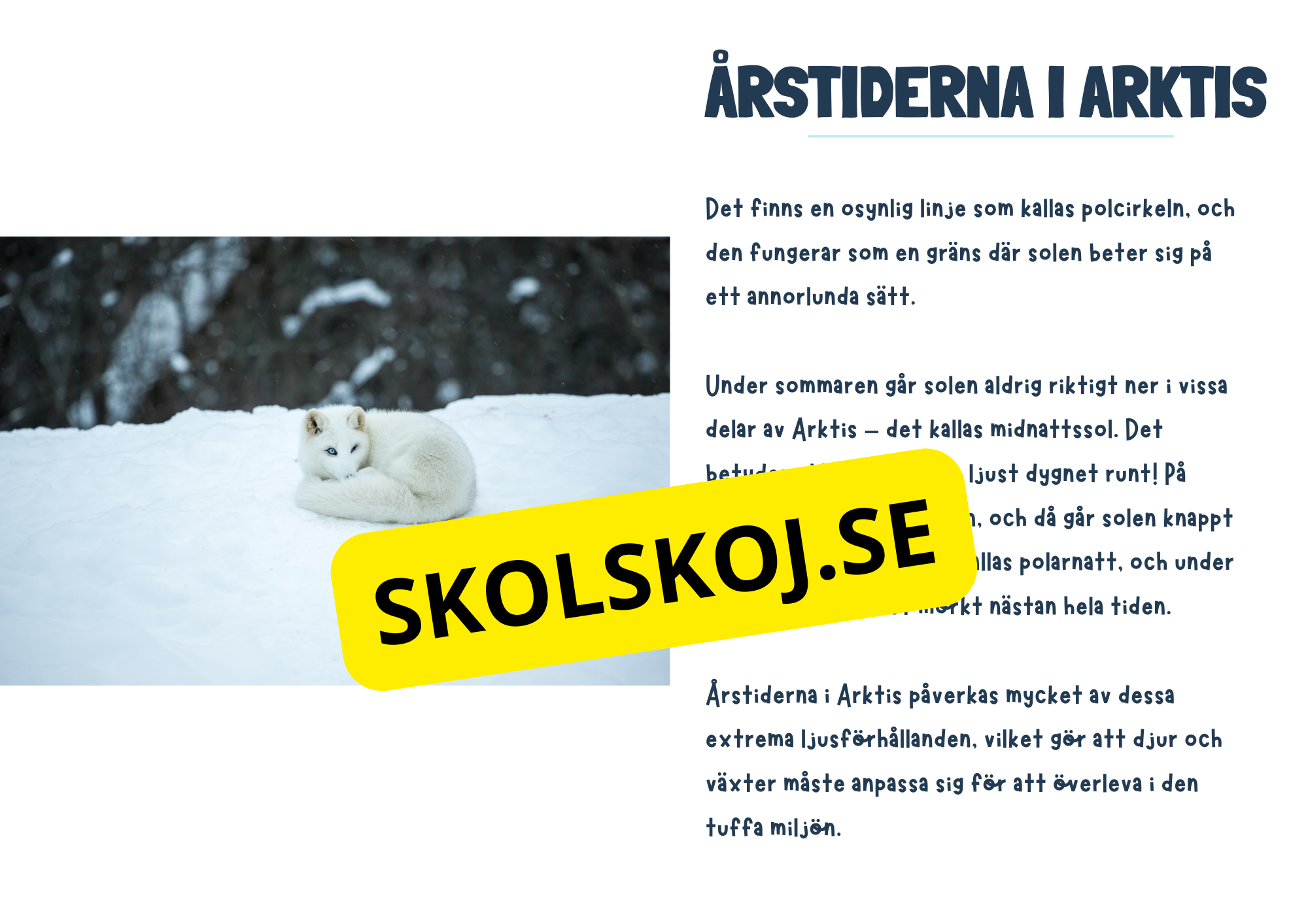 Arktiska regionen - Fakta och frågor - Årskurs 3 - 6
