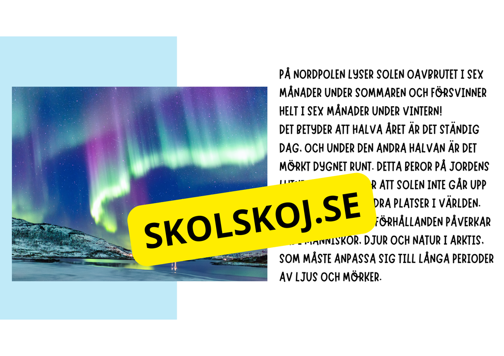 Arktiska regionen - Fakta och frågor - Årskurs 3 - 6