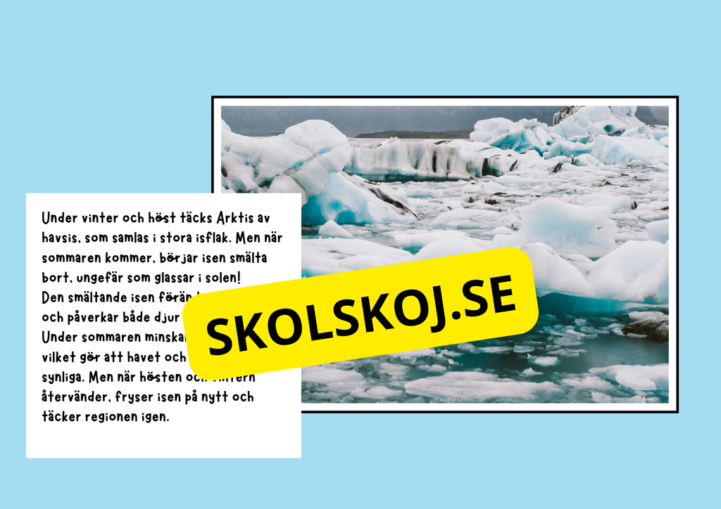Arktiska regionen - Fakta och frågor - Årskurs 3 - 6