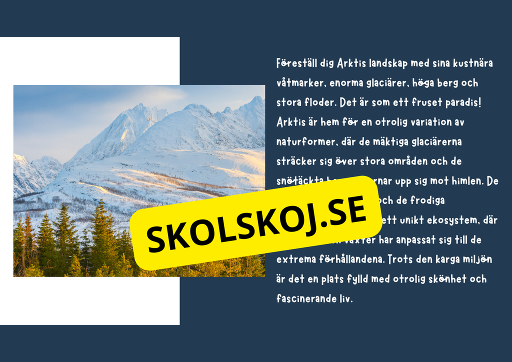 Arktiska regionen - Fakta och frågor - Årskurs 3 - 6