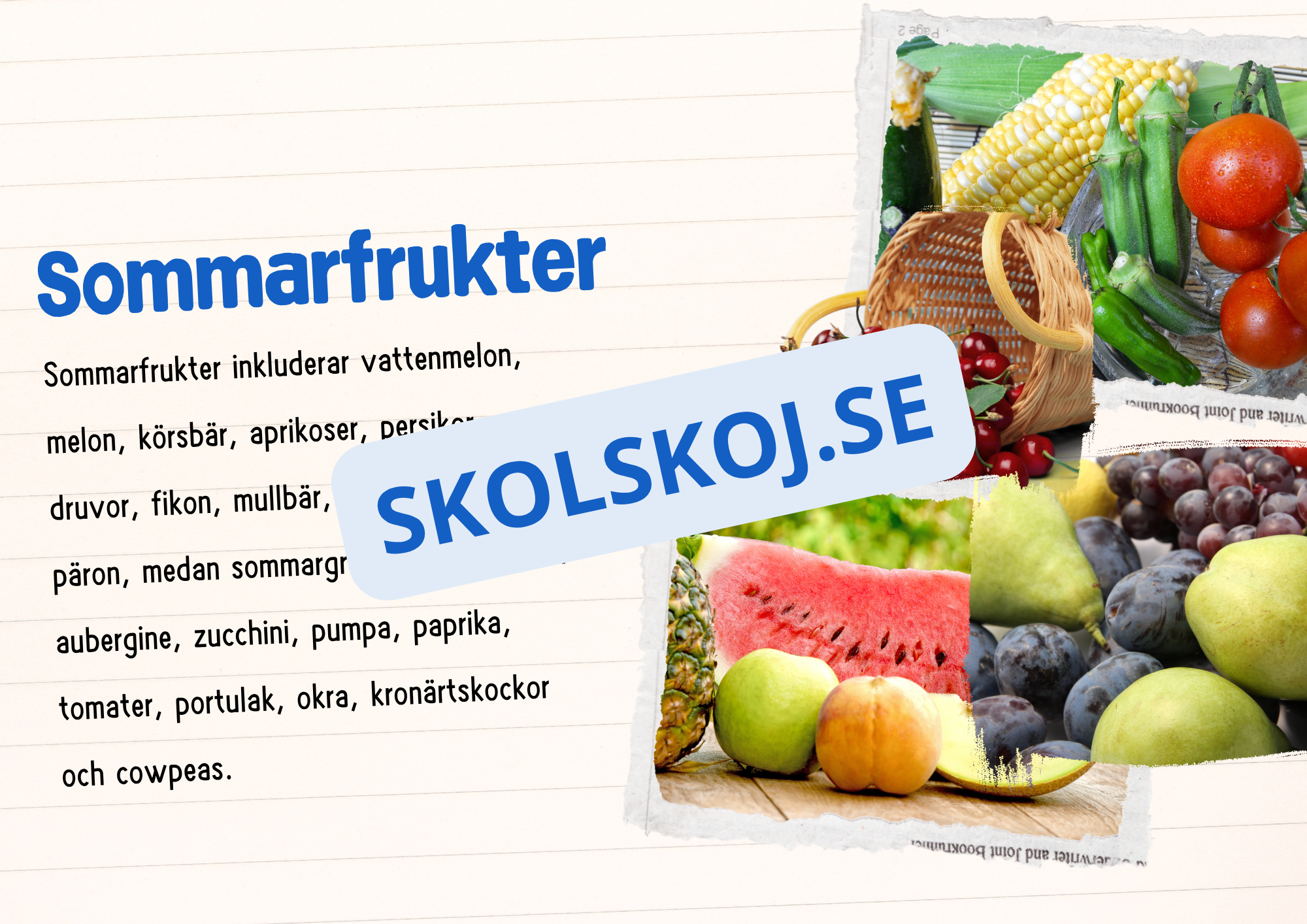 Årstiderna - Läsförståelse och frågor