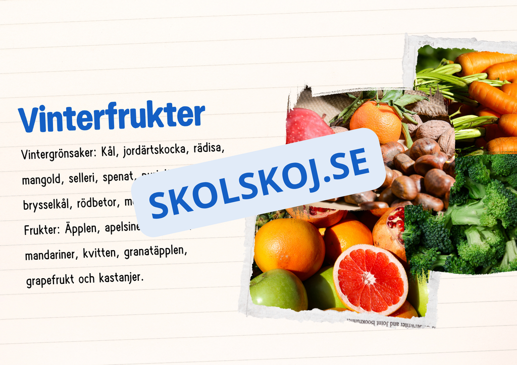 Årstiderna - Läsförståelse och frågor