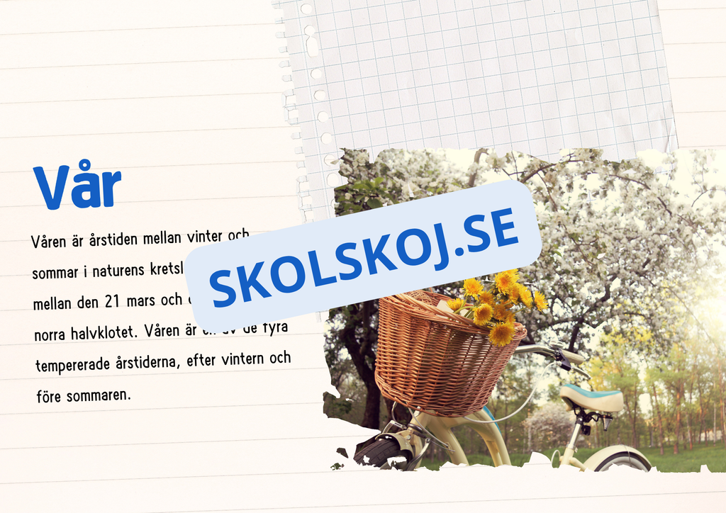 Årstiderna - Läsförståelse och frågor