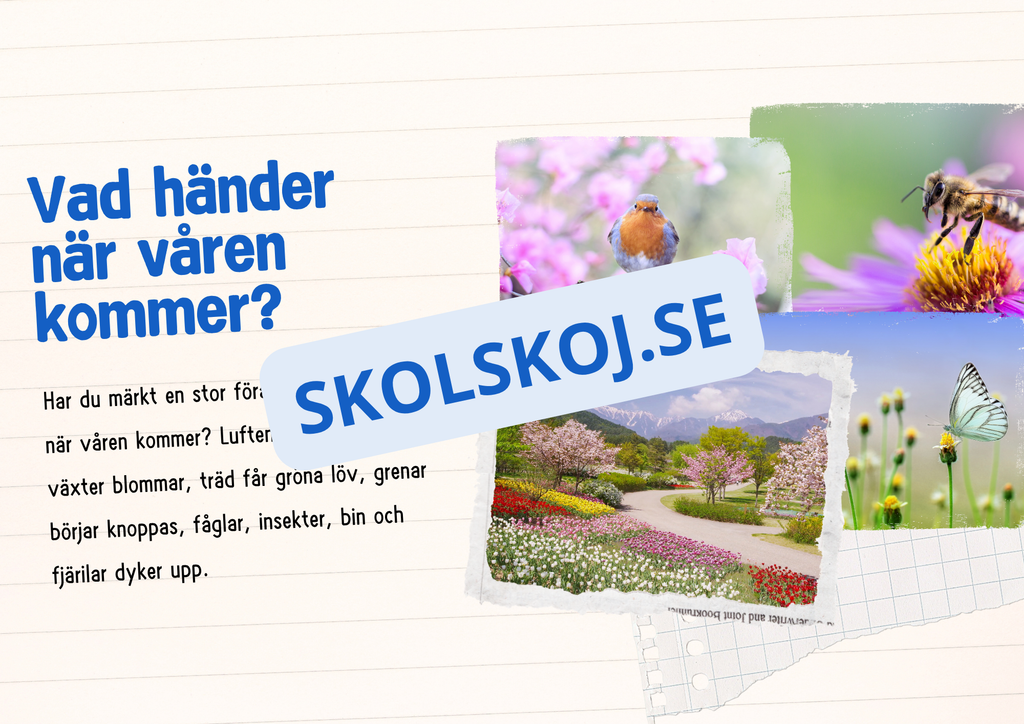 Årstiderna - Läsförståelse och frågor