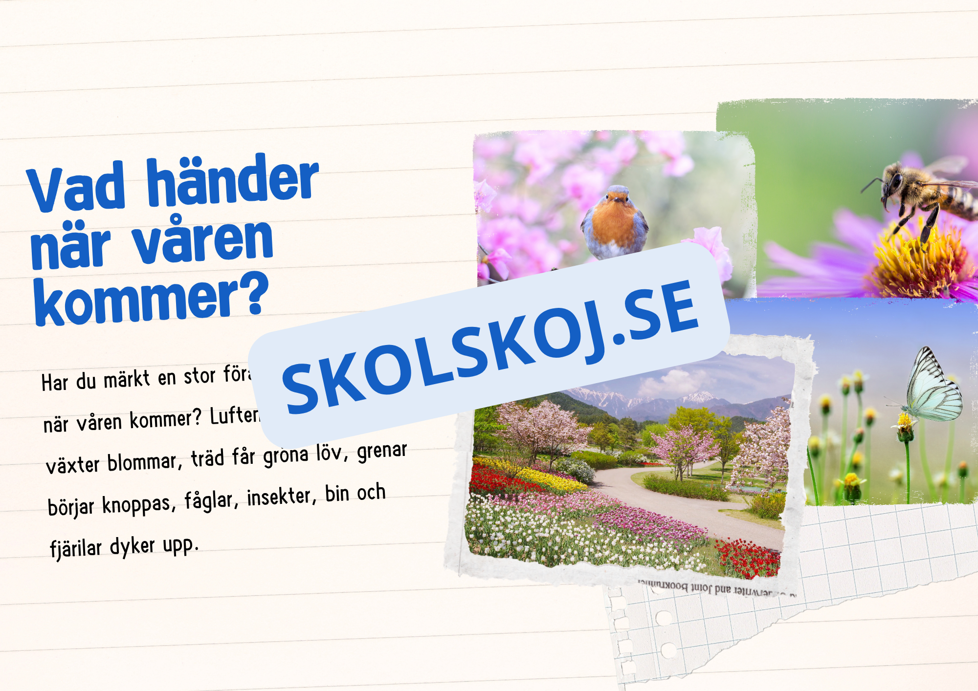 Årstiderna - Läsförståelse och frågor