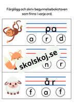 Begynnelsebokstaven