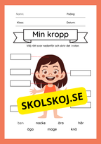 Kroppens delar - Presentation och arbetsblad