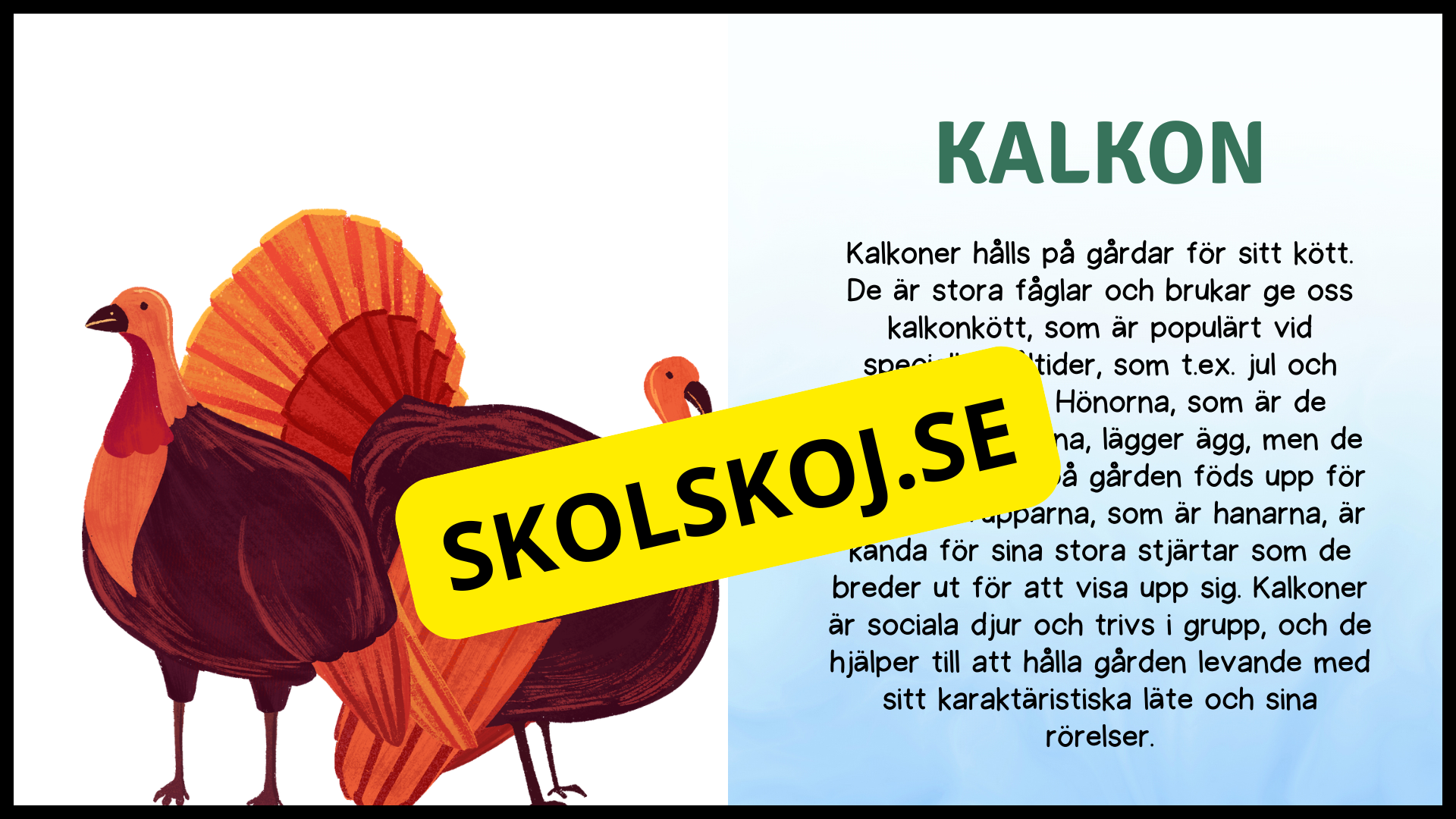 Bondgårdsdjur