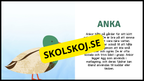 Bondgårdsdjur