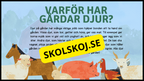 Bondgårdsdjur