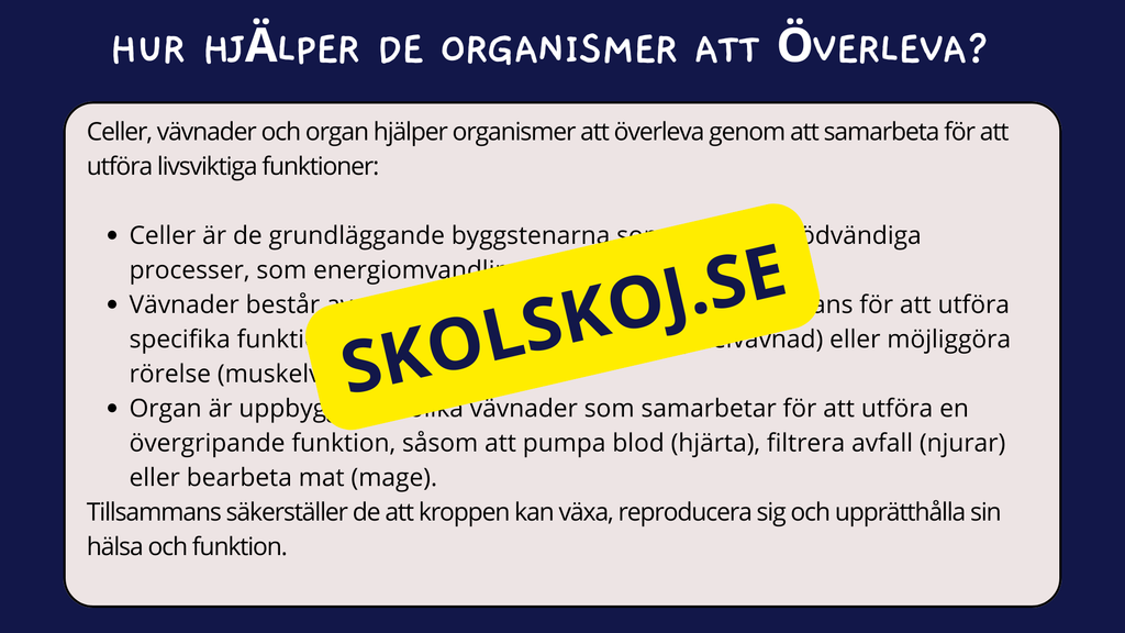 Celler, vävnader och organ