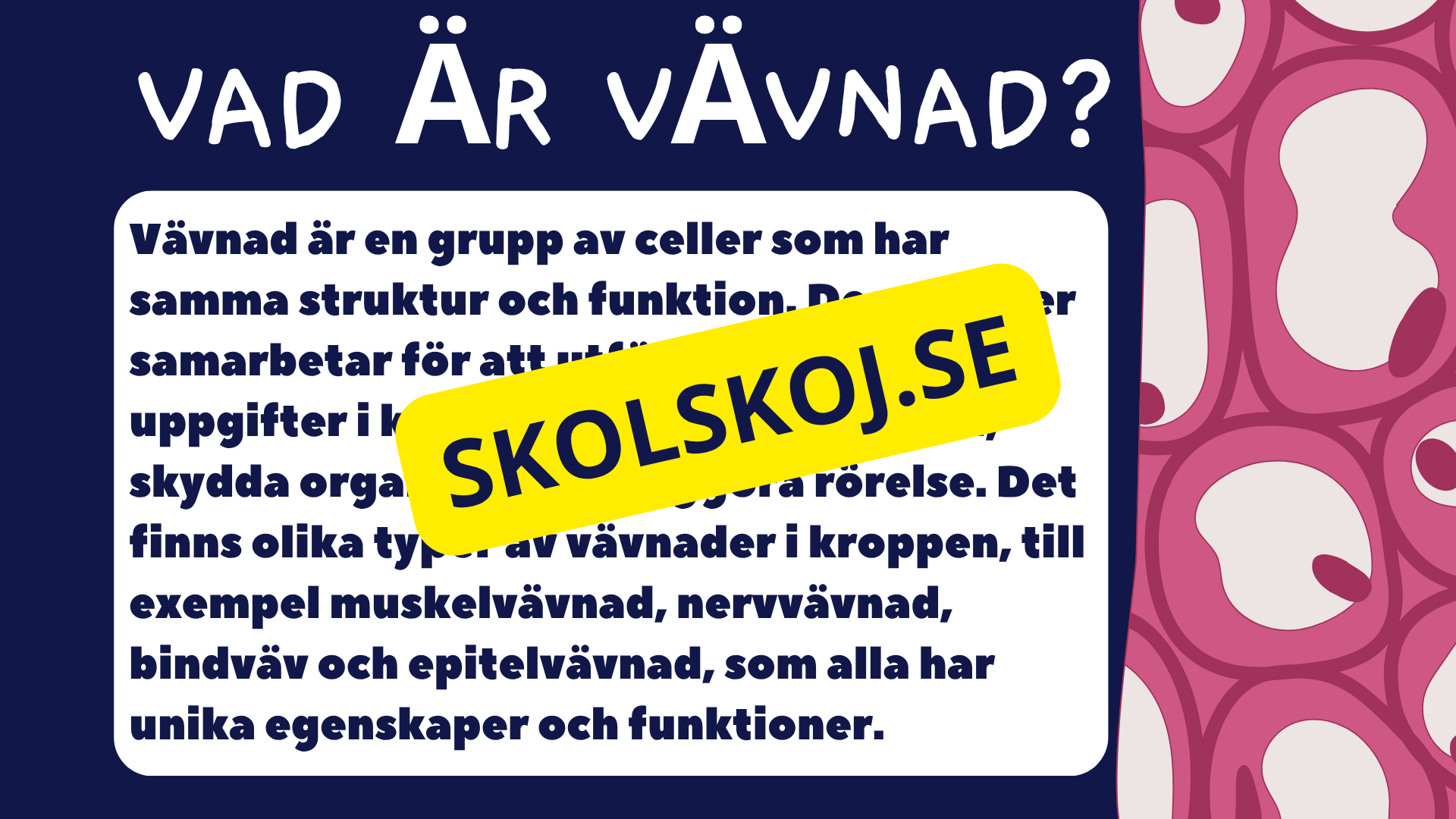 Celler, vävnader och organ