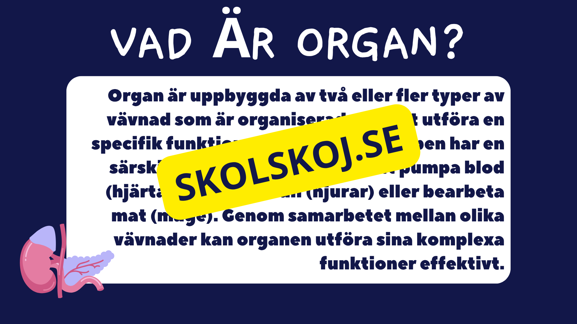 Celler, vävnader och organ