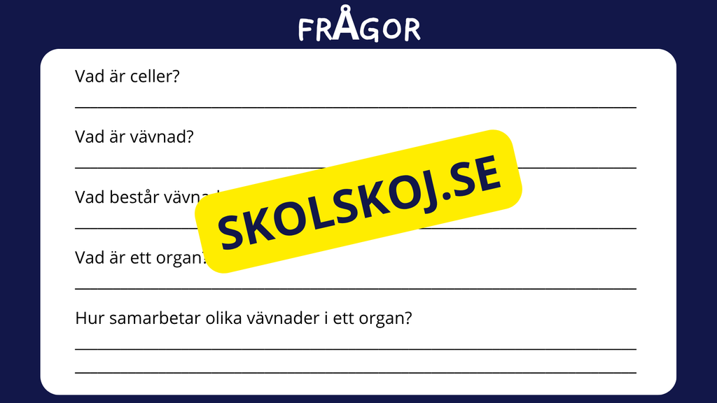 Celler, vävnader och organ