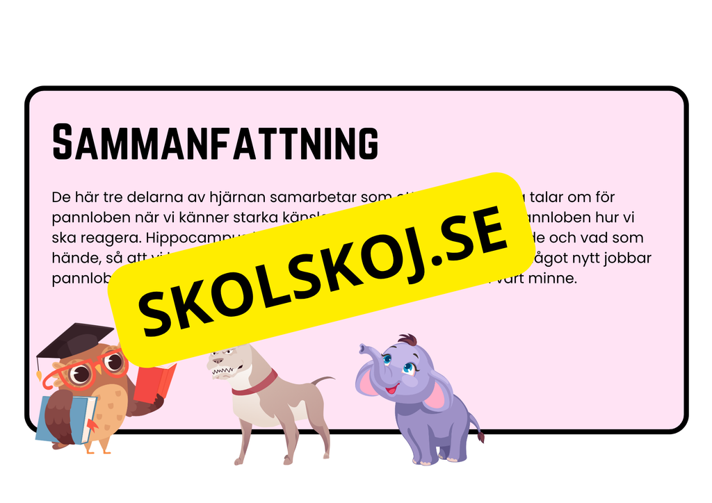Förstå din hjärna - Årskurs 4 - 6