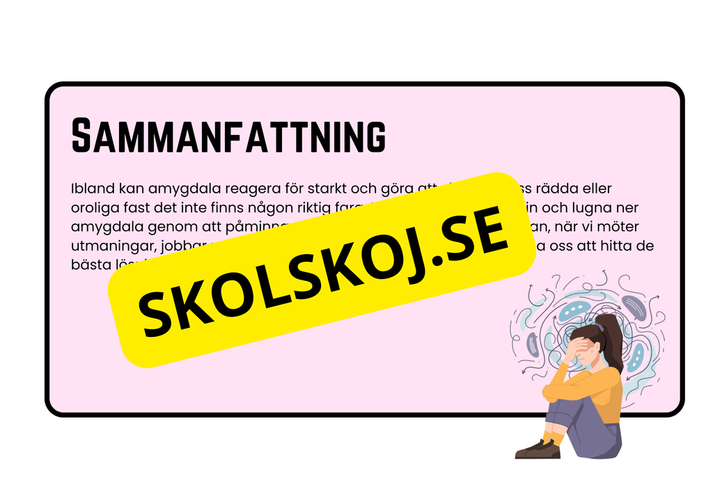 Förstå din hjärna - Årskurs 4 - 6