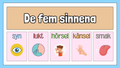 De fem sinnena - Fakta och frågor - Häfte