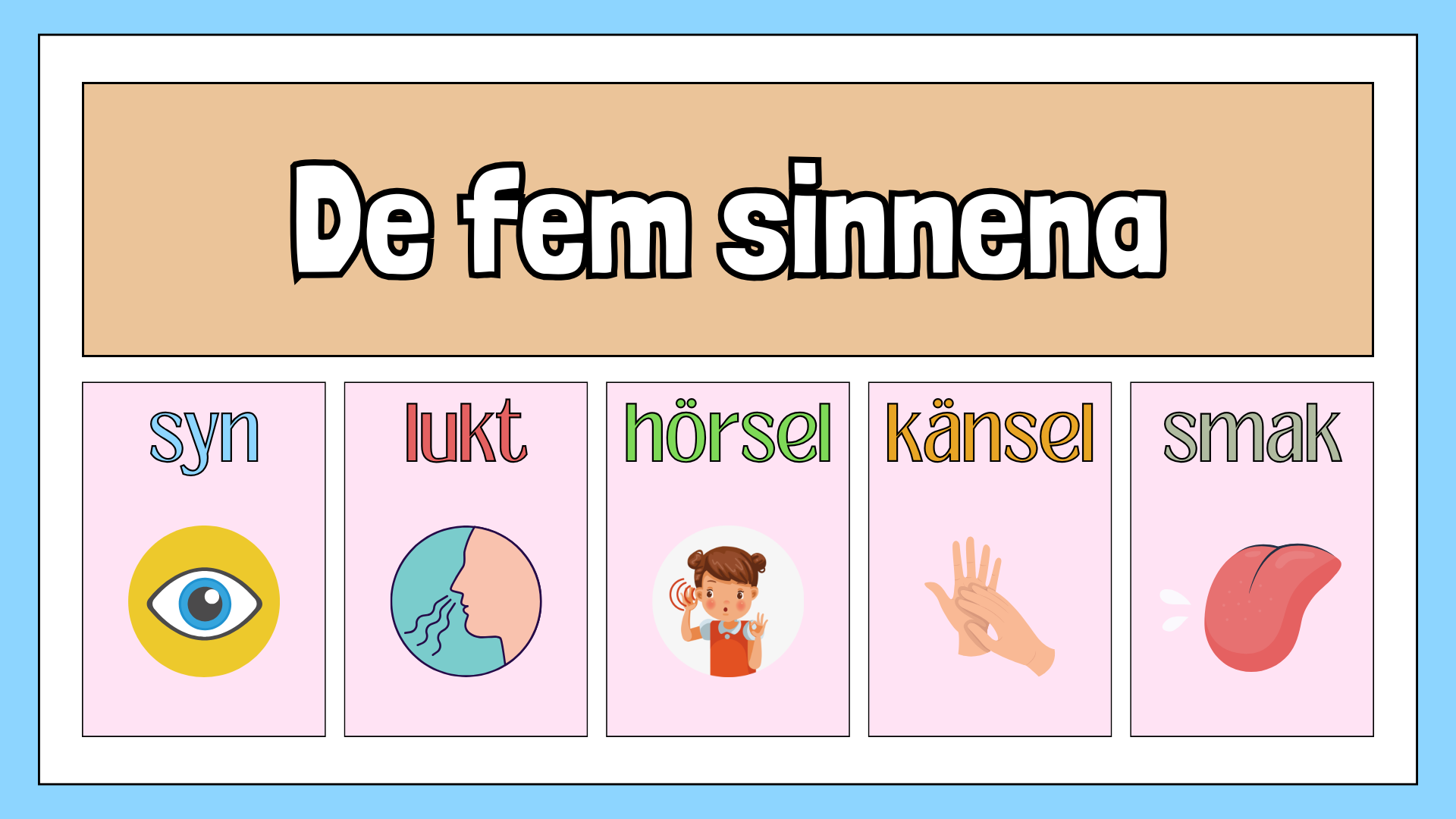 De fem sinnena - Fakta och frågor - Häfte