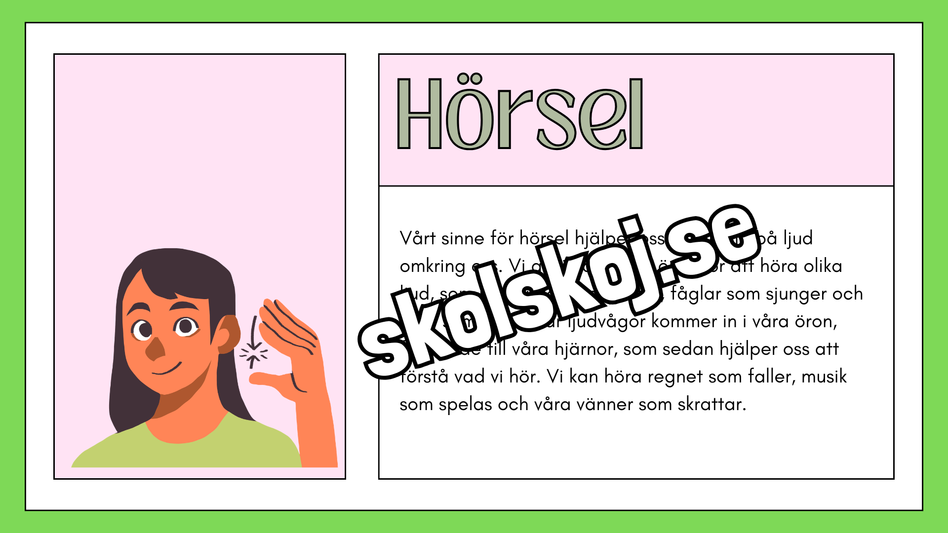 De fem sinnena - Fakta och frågor - Häfte
