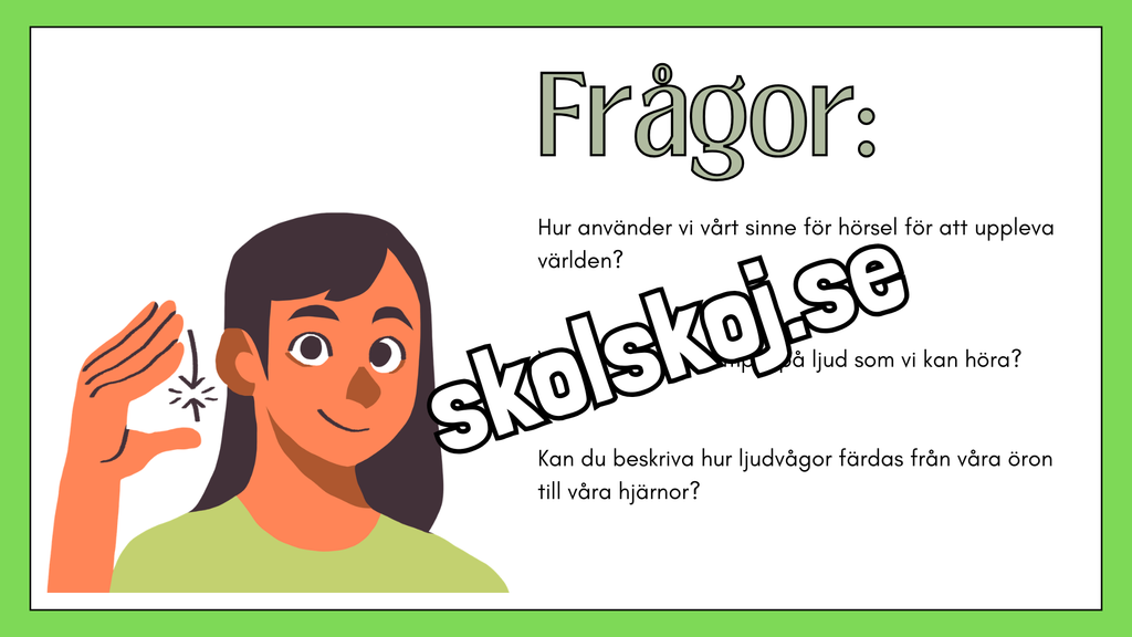 De fem sinnena - Fakta och frågor - Häfte