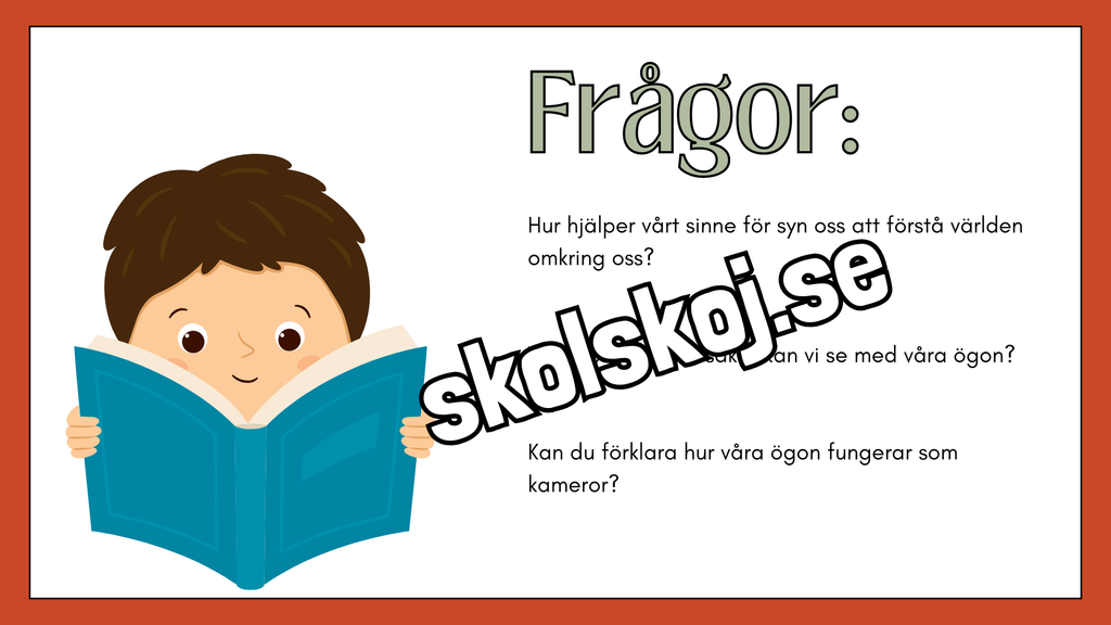 De fem sinnena - Fakta och frågor - Häfte