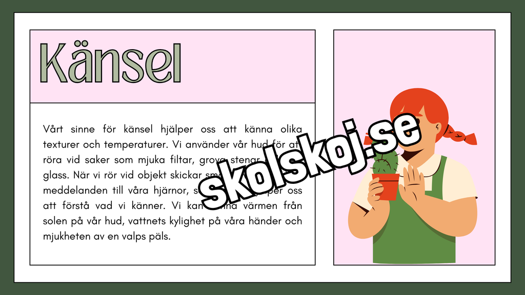 De fem sinnena - Fakta och frågor - Häfte