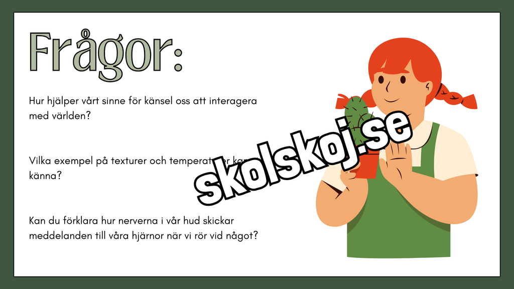 De fem sinnena - Fakta och frågor - Häfte