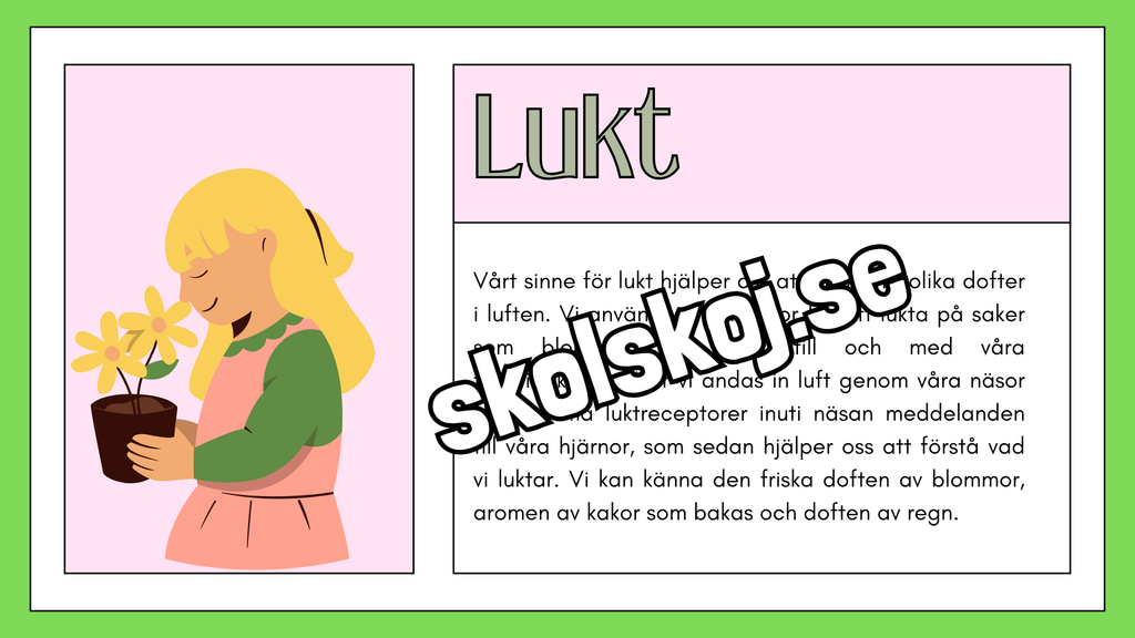 De fem sinnena - Fakta och frågor - Häfte