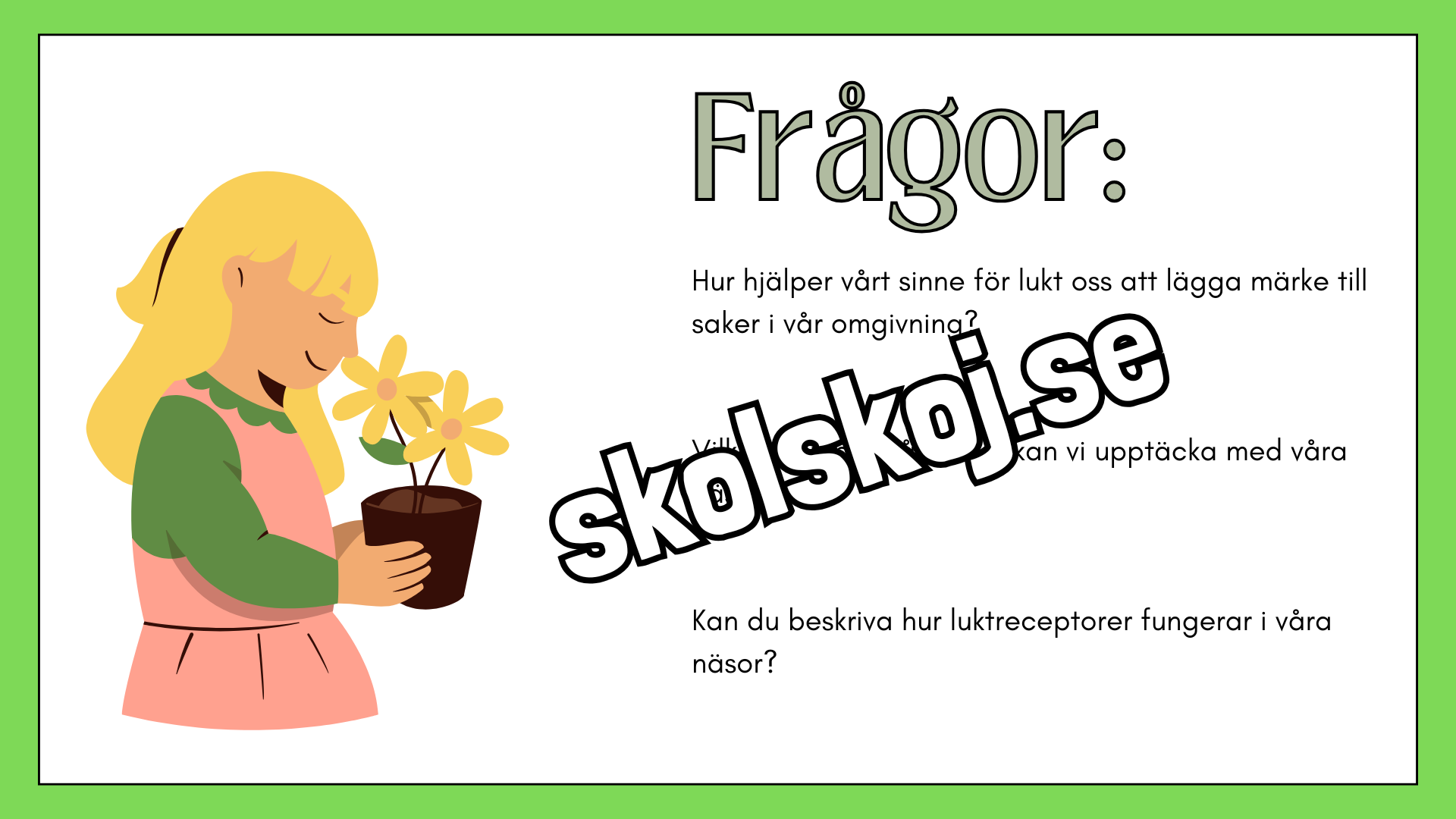 De fem sinnena - Fakta och frågor - Häfte
