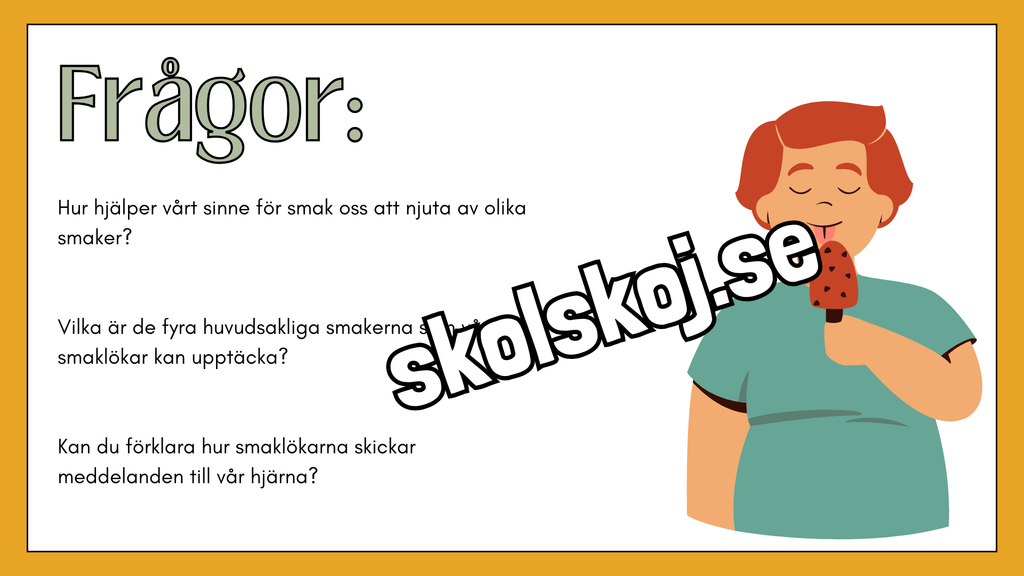 De fem sinnena - Fakta och frågor - Häfte