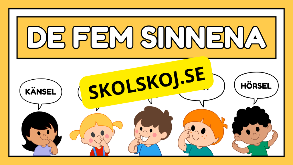 De fem sinnena - Häfte