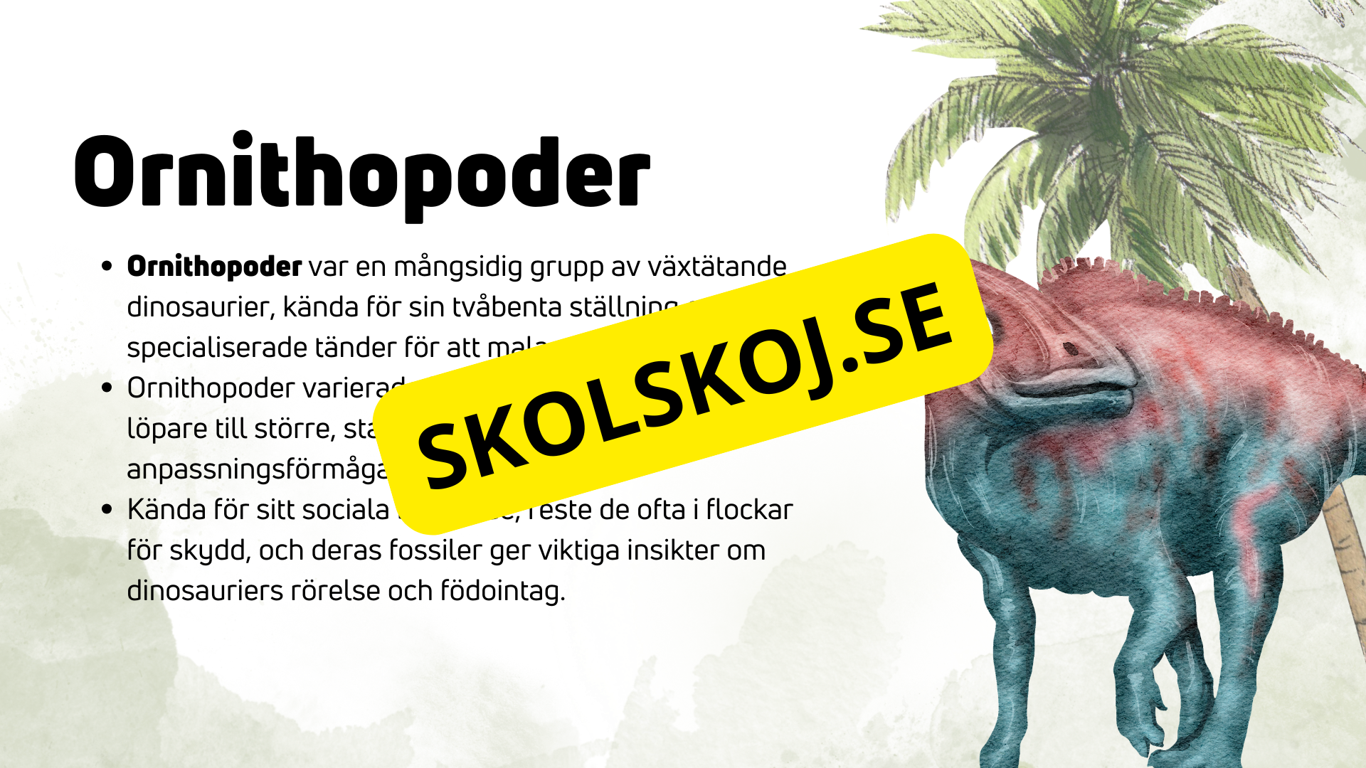 Dinosauriernas systematik + frågor - Årskurs 6 - 9