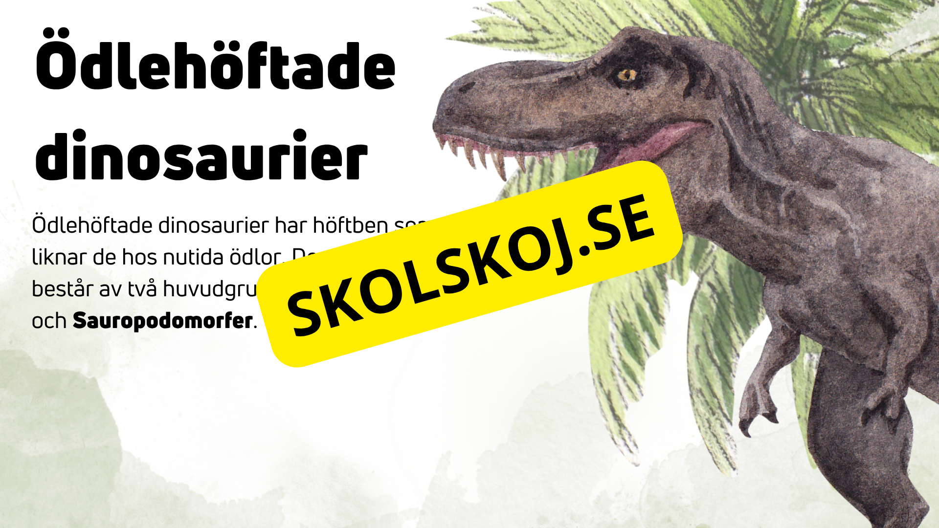 Dinosauriernas systematik + frågor - Årskurs 6 - 9