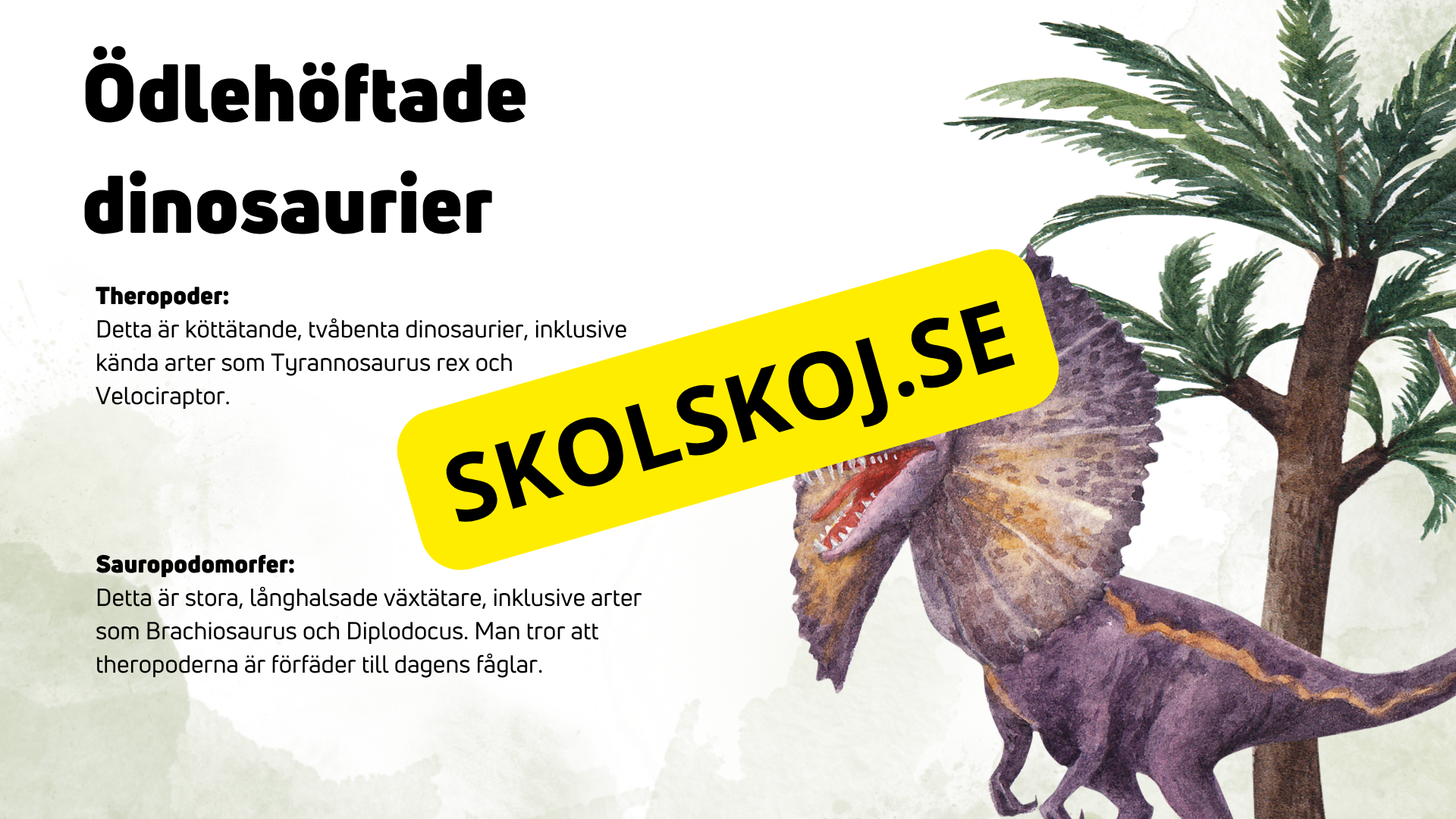 Dinosauriernas systematik + frågor - Årskurs 6 - 9