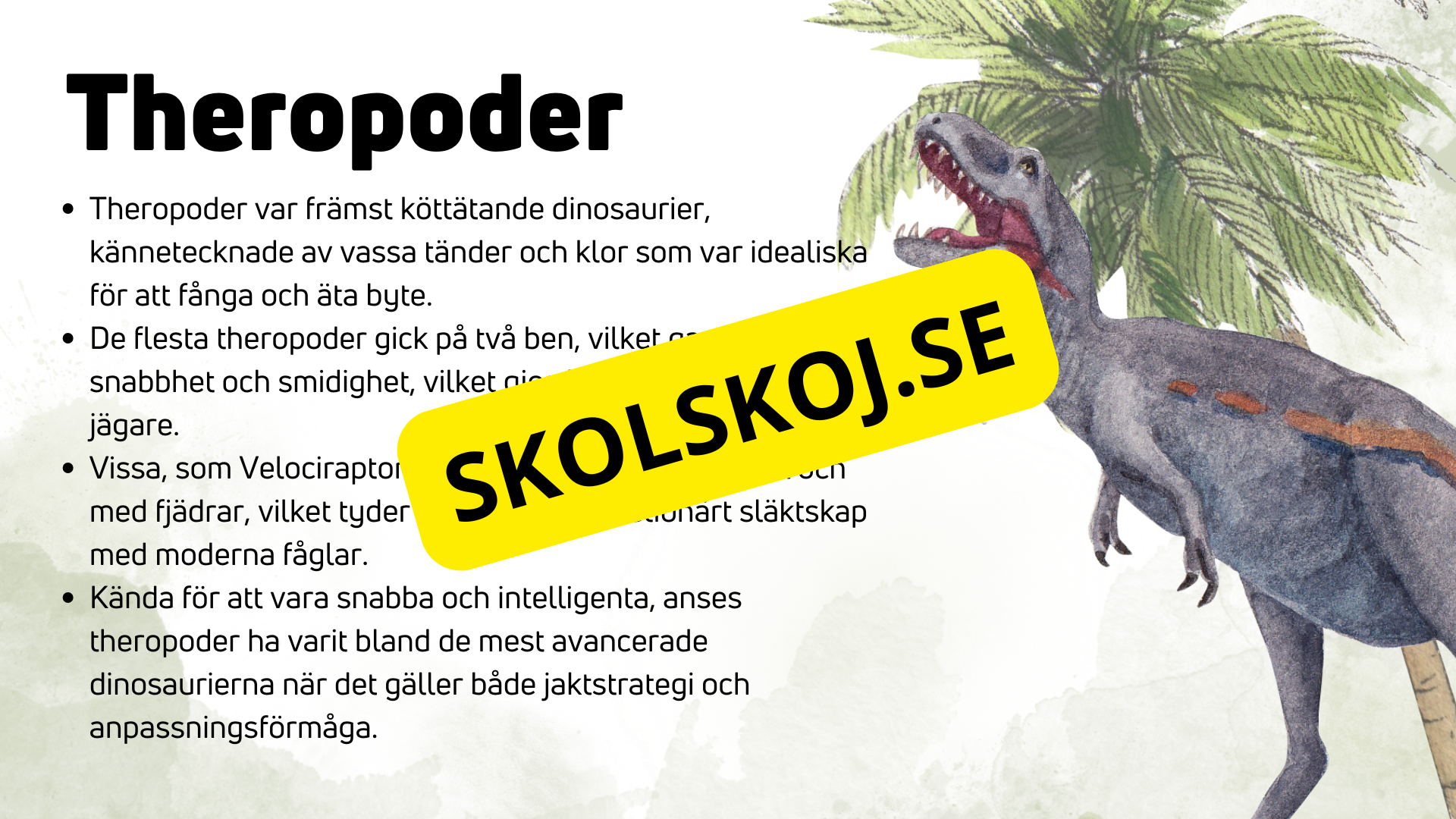 Dinosauriernas systematik + frågor - Årskurs 6 - 9
