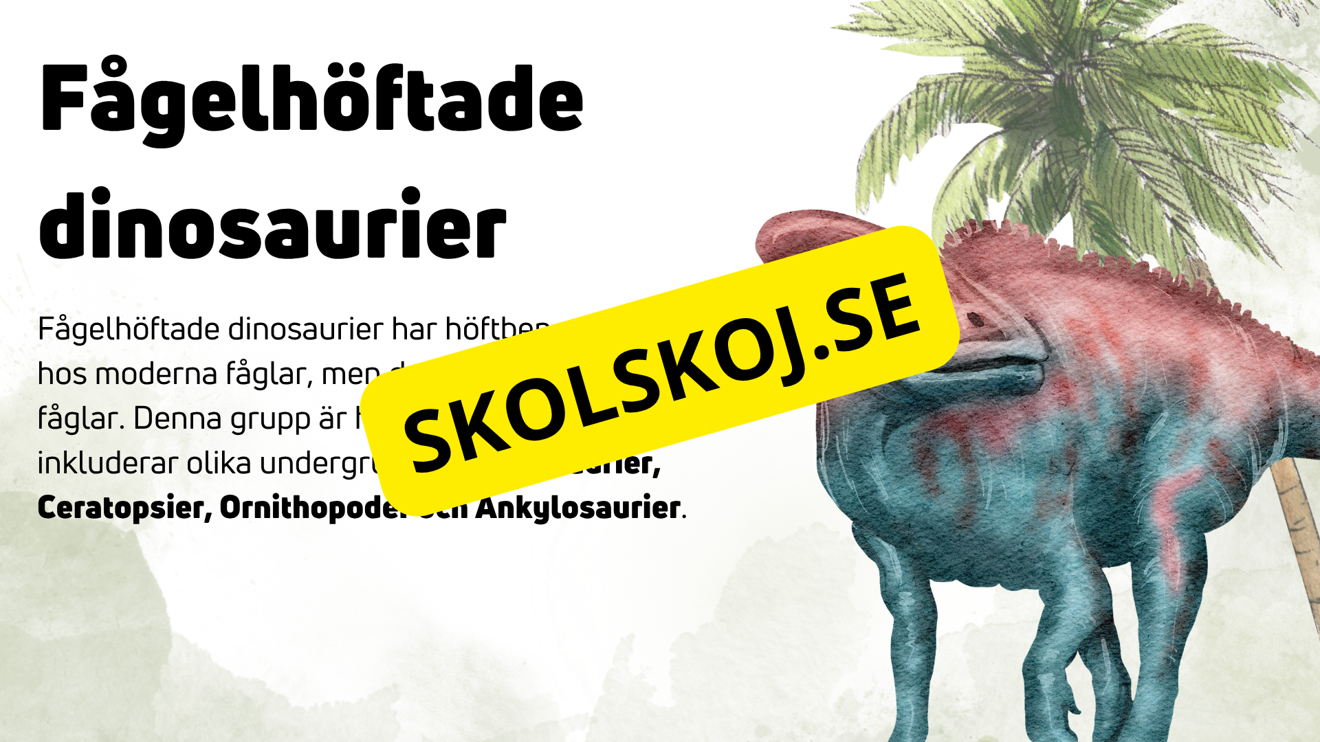 Dinosauriernas systematik + frågor - Årskurs 6 - 9