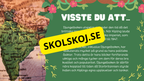 Djungelboken - Läsförståelse och frågor