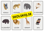 Djur - Flashkort (48 kort)