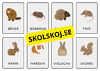 Djur - Flashkort (48 kort)
