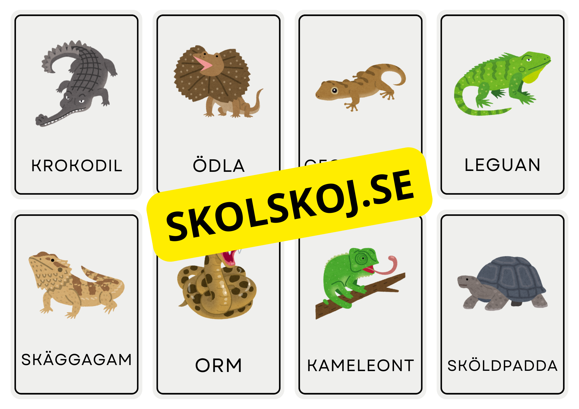 Djur - Flashkort (48 kort)