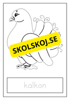 Djur - Skrivövning